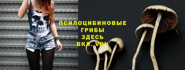 мет Козловка